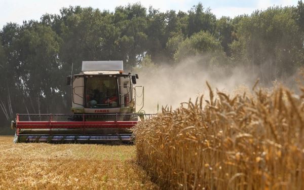 Мировые цены на зерно взлетели до максимума за 4 месяца после событий с ЧВК «Вагнер» 